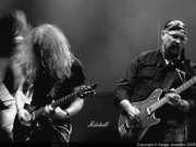 Saxon Raismesfest 2008 05
