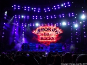 Krokus RF 2017 02