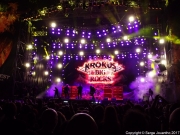 Krokus RF 2017 06